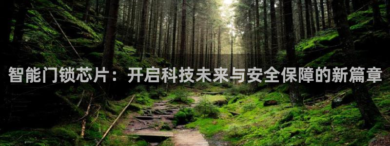 富联娱乐主管在什么职位：智能门锁芯片：开启科技未来与安全保障
