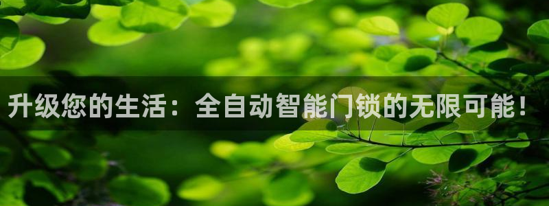 富联娱乐平台登录不上：升级您的生活：全自动智能门锁的无限可能