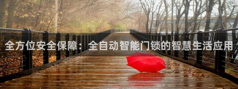 富联娱乐卜六七五一三八：全方位安全保障：全自动智能门锁的智慧