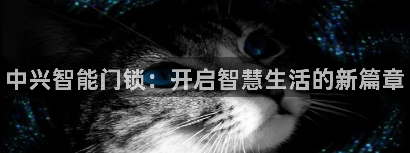 富联娱乐注册计判官333OO：中兴智能门锁：开启智慧生活的新