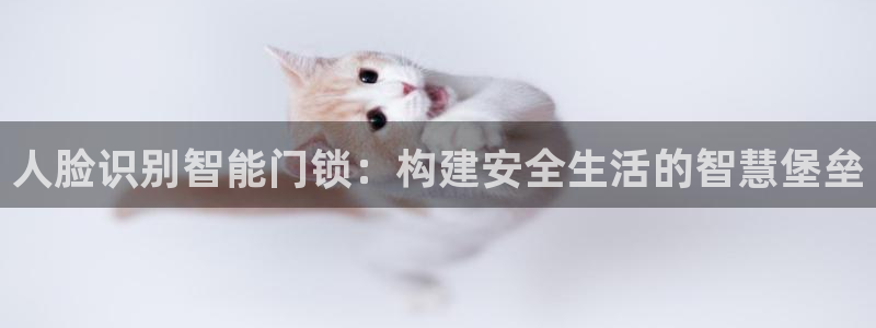 富联娱乐联37997筘：人脸识别智能门锁：构建安全生活的智慧