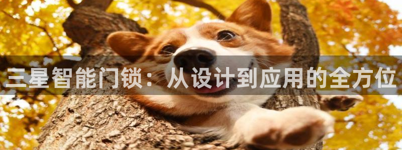 富联娱乐平台客服电话：三星智能门锁：从设计到应用的全方位