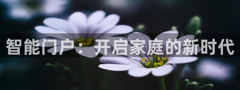 富联娱乐在线官网：智能门户：开启家庭的新时代
