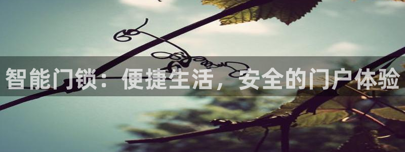 富联娱乐官方网站：智能门锁：便捷生活，安全的门户体验