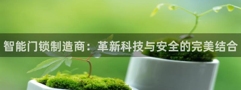 富联娱乐主管是什么职位：智能门锁制造商：革新科技与安全的完美