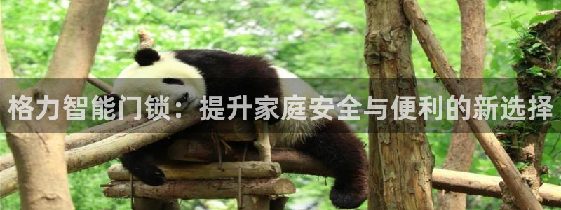 富联娱乐最厉害三个网站是什么