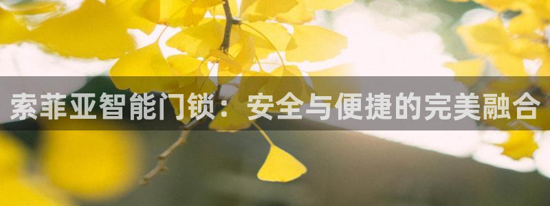 富联娱乐招商括判官333OO：索菲亚智能门锁：安全与便捷的完