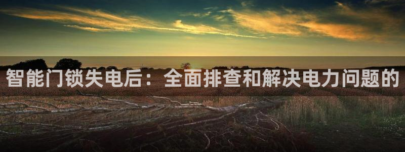 富联娱乐首页：智能门锁失电后：全面排查和解决电力问题的