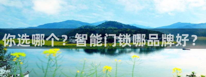 富联娱乐乃六七五一38：你选哪个？智能门锁哪品牌好？