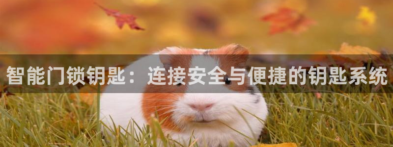 富联娱乐资讯：智能门锁钥匙：连接安全与便捷的钥匙系统