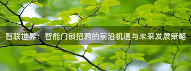 广州联富大厦鼎盛娱乐：智联世界：智能门锁招聘的前沿机遇与未来