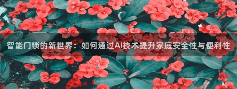 富联娱乐贴吧官网首页：智能门锁的新世界：如何通过AI技术提升