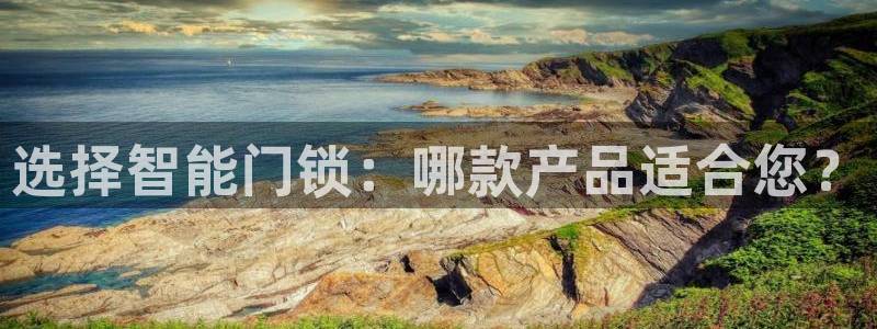 富联娱乐认酒威判官333OO：选择智能门锁：哪款产品适合您？