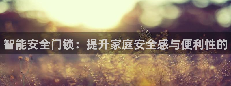 富联2娱乐六七五一38：智能安全门锁：提升家庭安全感与便利性