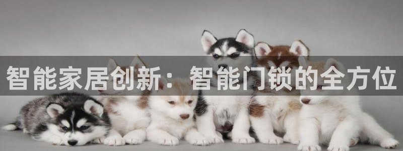 富联娱乐登录网址：智能家居创新：智能门锁的全方位