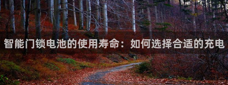 富联娱乐代理是谁开的店：智能门锁电池的使用寿命：如何选择合适