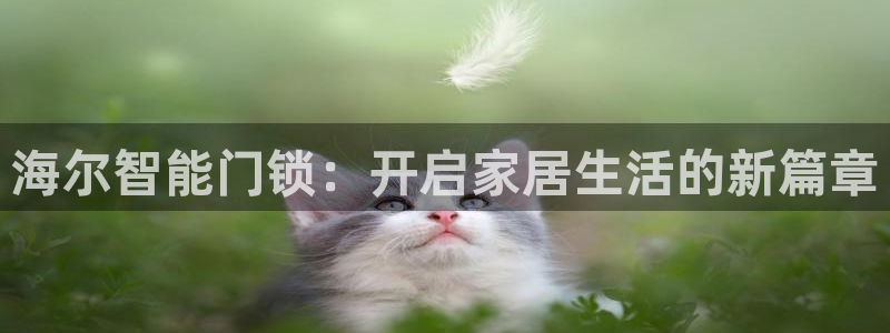 富联娱乐力67OO6：海尔智能门锁：开启家居生活的新篇章