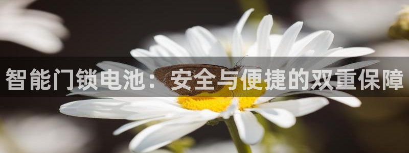富联娱乐平台能挣到钱吗：智能门锁电池：安全与便捷的双重保障