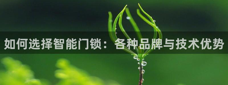 富联娱乐凡六七五一38：如何选择智能门锁：各种品牌与技术优势